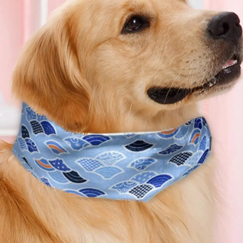 Bandana rafraîchissant chien chat – Fraîcheur douce Soulagement immédiat