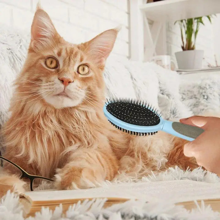 Brosse toilettage chien chat : douceur, complicité et zéro nœud