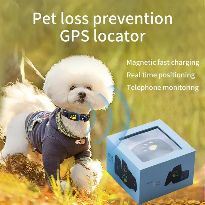 Collier GPS pour chien & chat – Ne le perds plus jamais de vue
