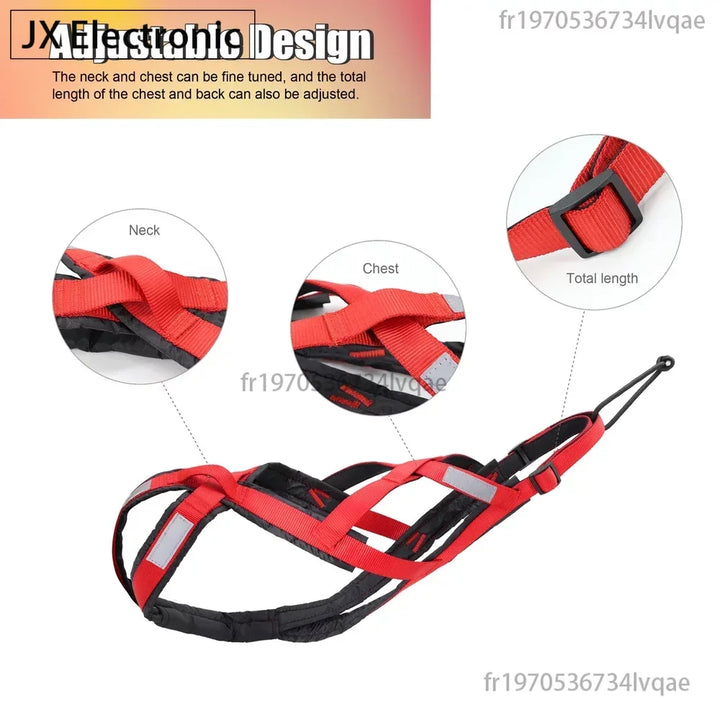 Harnais traction pour chien athlétique libre et puissant