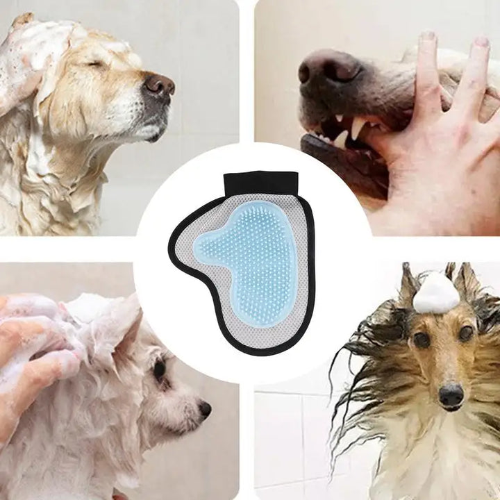 Gants toilettage chien chat : transformez chaque soin en caresse d’amour