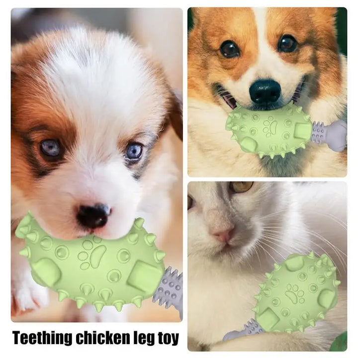 Jouet de dentition pour chien - HautePattes