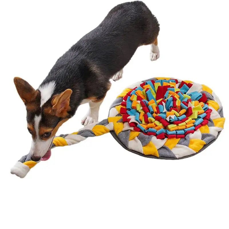 Tapis Renifleur Interactif pour Chien - HautePattes