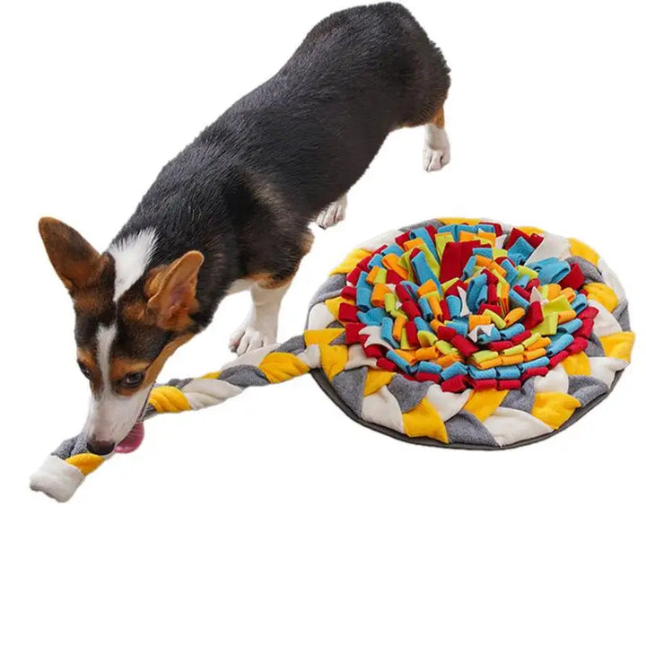 Tapis Renifleur Interactif pour Chien - HautePattes