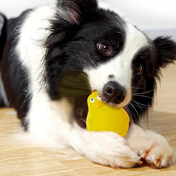 Jouet Couineur Mignon pour Chien - HautePattes