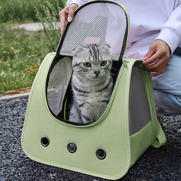 Sac transport chien chat : liberté et tendresse en balade