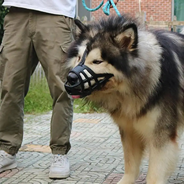Muselière douce pour chien sensible aimé et protégé