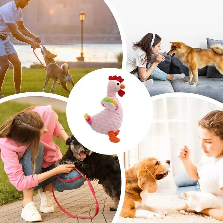 Jouet Couineur en Peluche Coq Rieur pour Chien - HautePattes