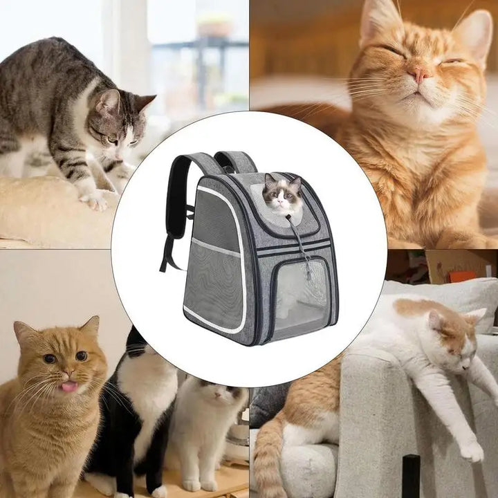 Sac à dos chat & petit chien : confortable, pliable et toujours prêt à partir