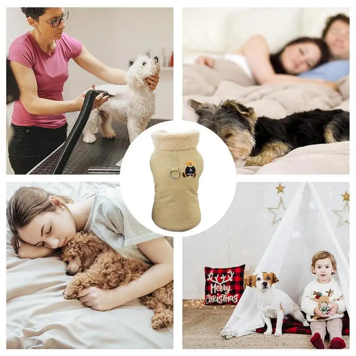 Manteau doux et chaud pour petit chien élégant