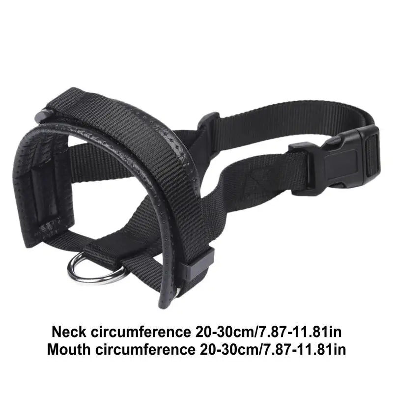 Muselière panier pour chien : encadrez-le avec calme, protégez-le avec amour