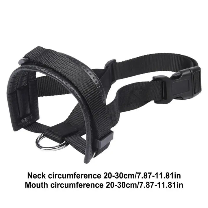 Muselière panier pour chien : encadrez-le avec calme, protégez-le avec amour