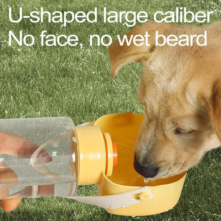Bouteille de voyage multifonction pour chien - HautePattes