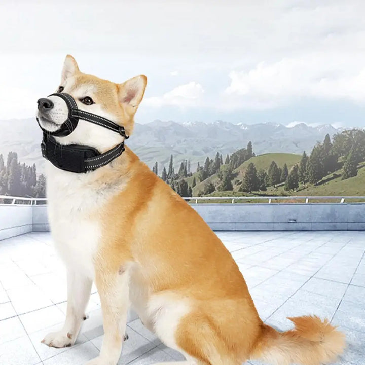 Muselière réfléchissante pour chien : sécurité nocturne & confort absolu
