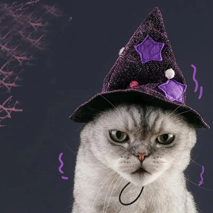 Costume sorcier chien & chat : léger, brillant et irrésistible