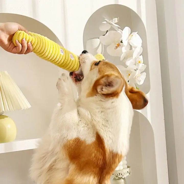 Jouet couineur en peluche mignon et texturé - HautePattes