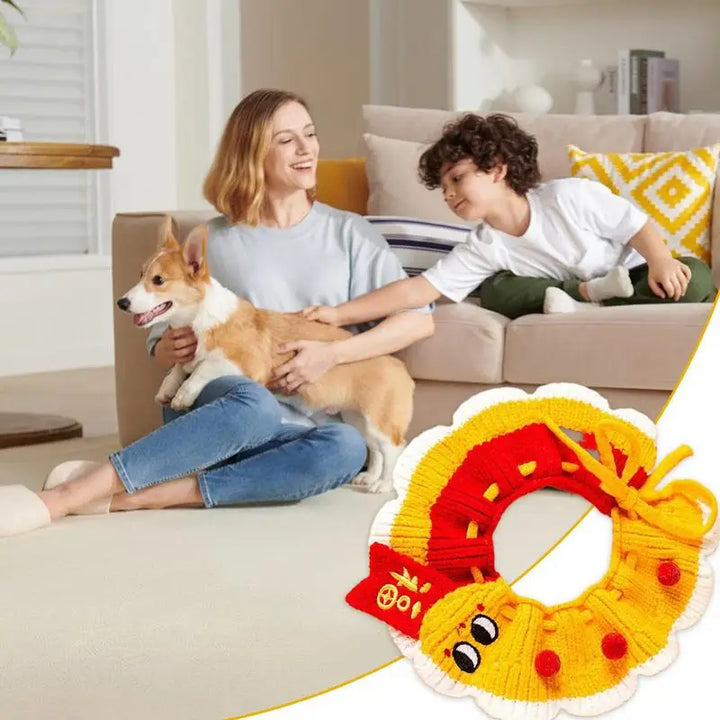 Collerette tricoté chien chat : accessoire doux & complice à porter fièrement