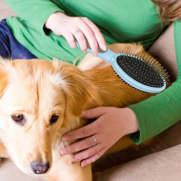 Brosse toilettage chien chat : douceur, complicité et zéro nœud