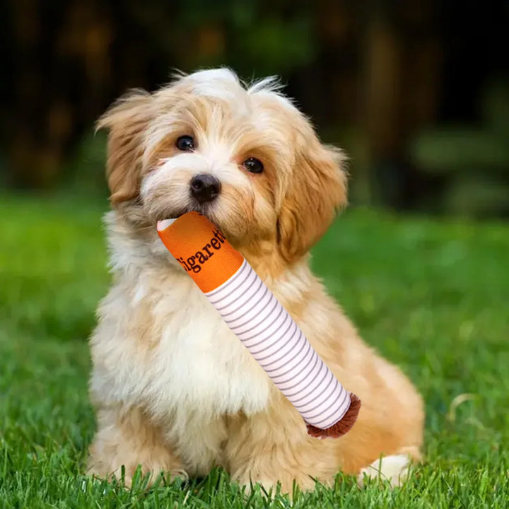 Jouet en Peluche pour Chien Original Boîte à Cigares - HautePattes