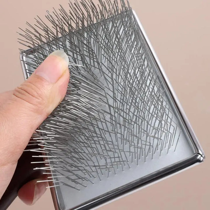 Peigne brosse chien chat bois : soin calme & complicité