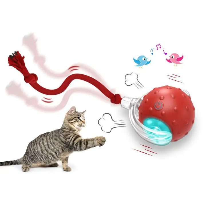 Balle de jouet interactive pour chat chien recharge USB - HautePattes