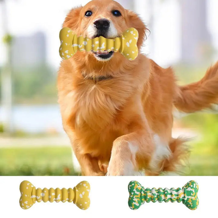 Jouet à Mâcher en Caoutchouc Ultra-Résistant - HautePattes