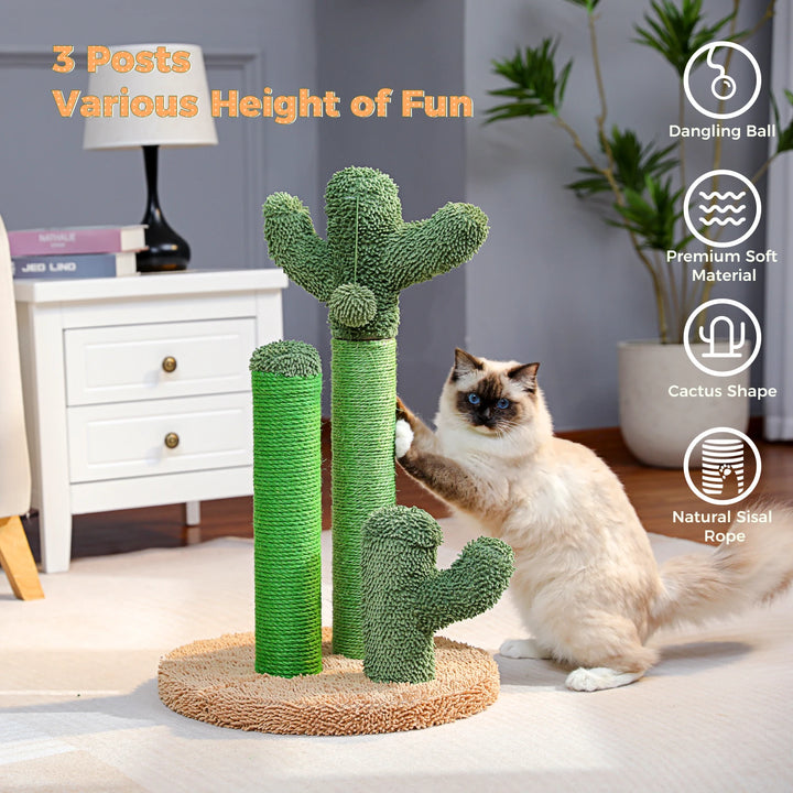 Griffoir cactus pour chat qui canalise l’instinct avec style