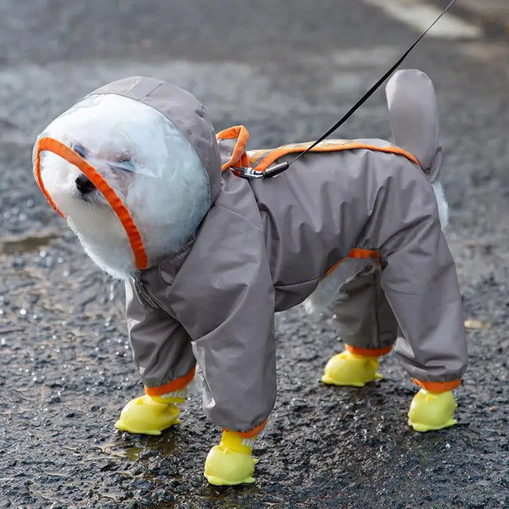 Manteau de Pluie pour Chien - HautePattes