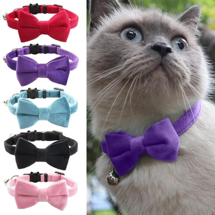 Collier nœud papillon chien & chat : chic discret, amour visible, souvenirs précieux