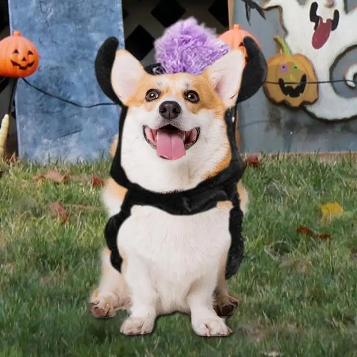 Costume Halloween chien & chat : magique, drôle et attachant