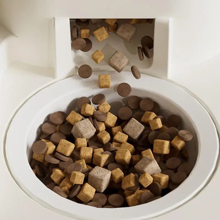 Distributeur automatique 2-en-1 d’eau et de nourriture pour chat - HautePattes