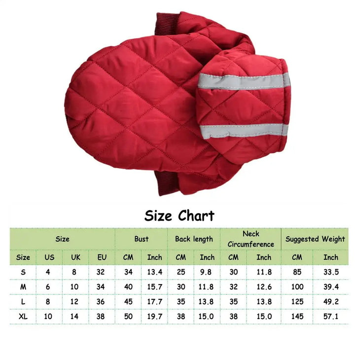 Manteau chaud avec bandes réfléchissantes pour chien courageux