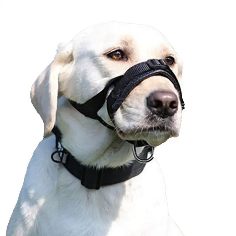 Muselière respirante pour chien confort calme et sécurité