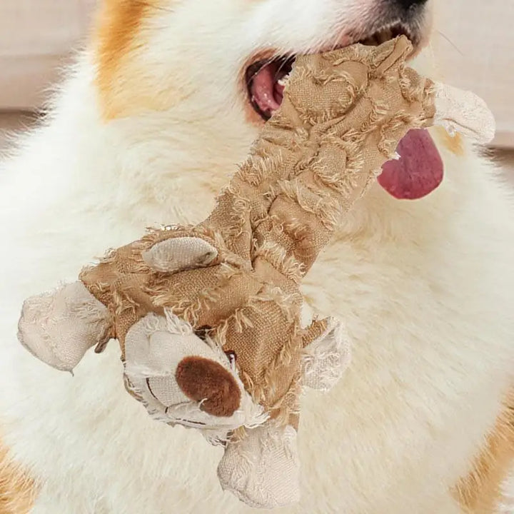 Jouet Couineur Indestructible en Forme d'Ours pour Chien - HautePattes
