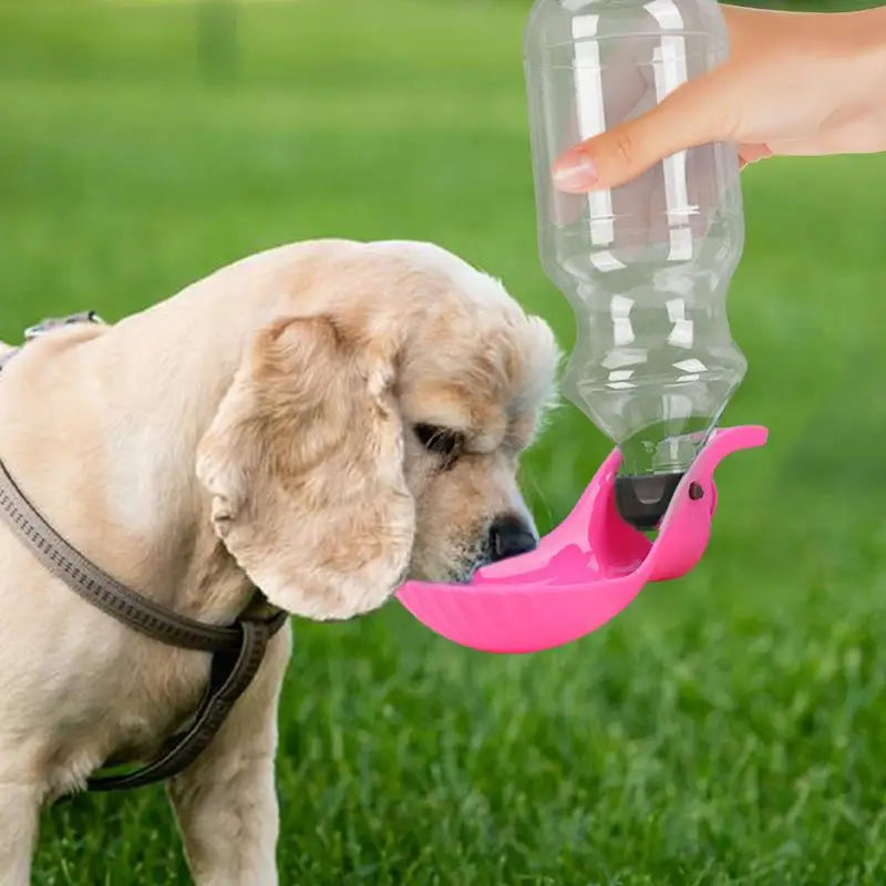 Distributeur d'eau portable pour chien avec gobelet pliable - HautePattes