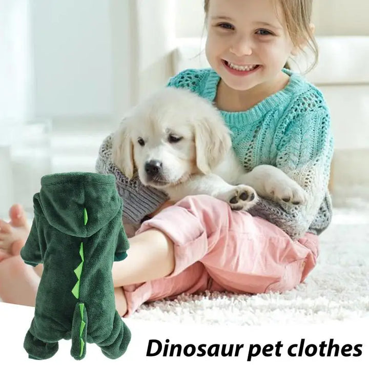Sweat dinosaure pour chien ou chat : chaleur, mignonnerie, souvenirs