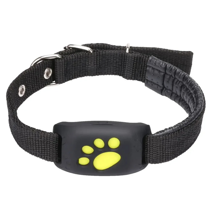 Collier GPS pour chien & chat – Ne le perds plus jamais de vue