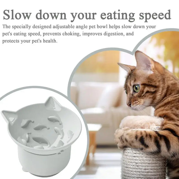 Gamelle à alimentation lente réglable Chat et Chien - HautePattes
