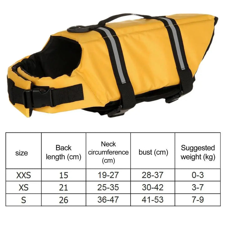 Gilet de sauvetage pour chien qui protège sans gêner