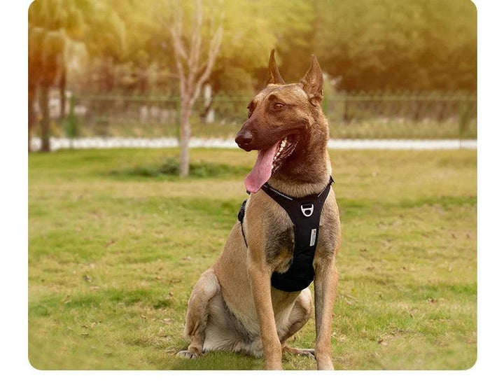 Harnais True love anti-traction chien nylon réfléchissant - HautePattes