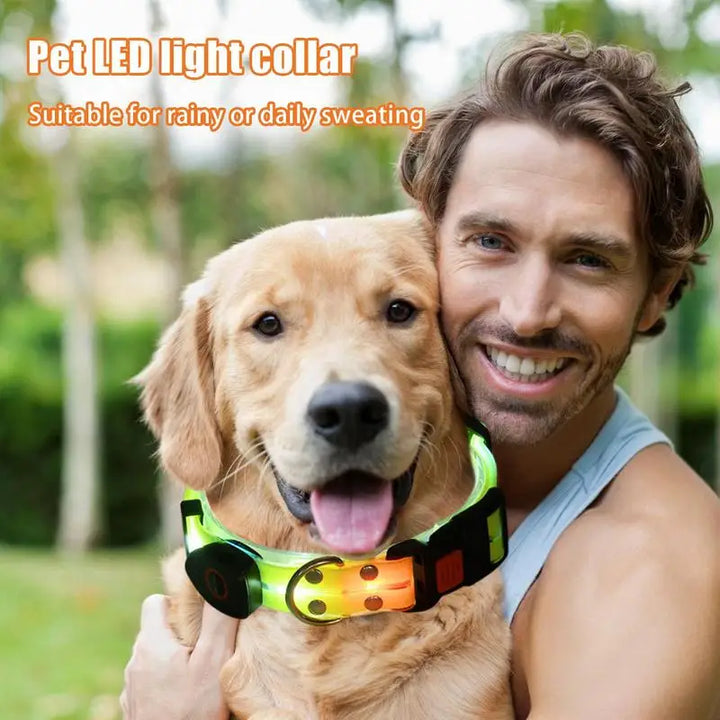 Collier lumineux chien : balades nocturnes en toute sécurité