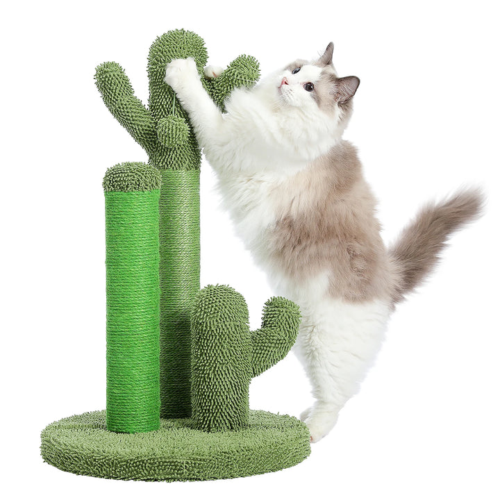 Griffoir cactus pour chat qui canalise l’instinct avec style