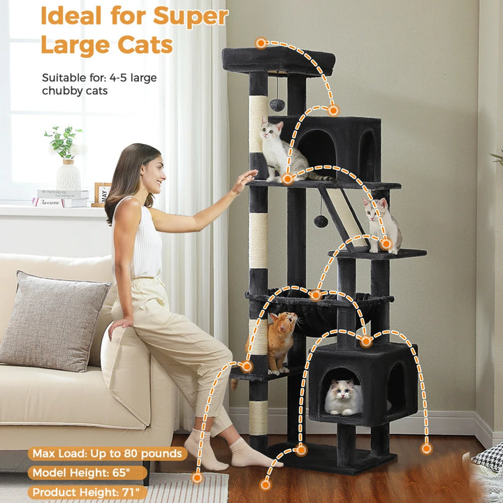 Un territoire majestueux pour les grands chats puissants