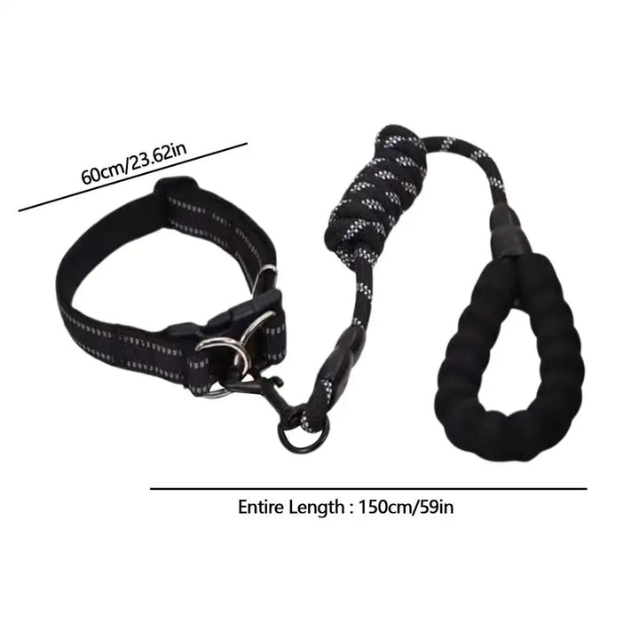 Collier réfléchissant chien – Pour les balades même dans l’ombre