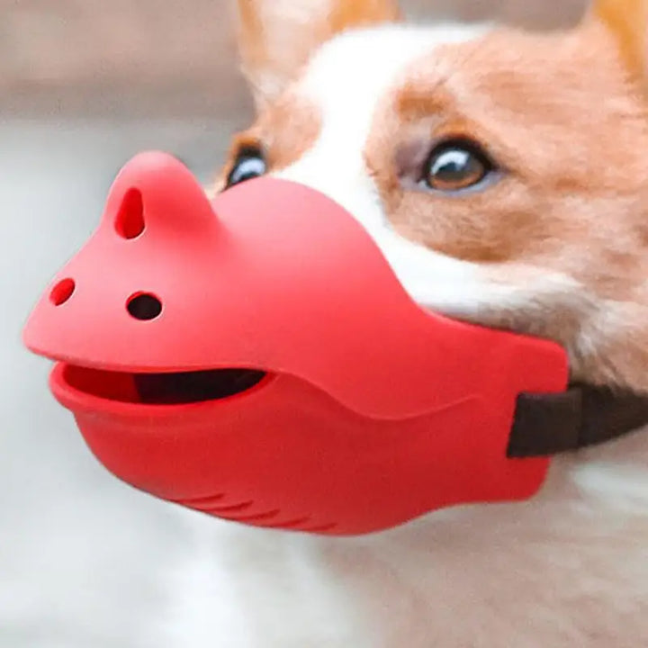 Muselière souple pour chien aimé et respecté