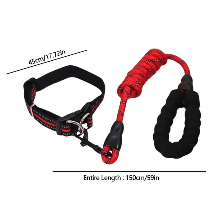 Collier réfléchissant chien – Pour les balades même dans l’ombre