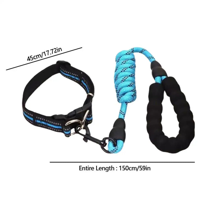 Collier réfléchissant chien – Pour les balades même dans l’ombre