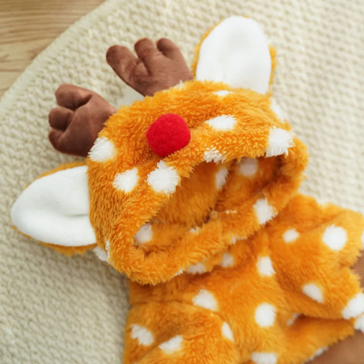 Costume renne pour chien : chaleur, douceur, photos craquantes