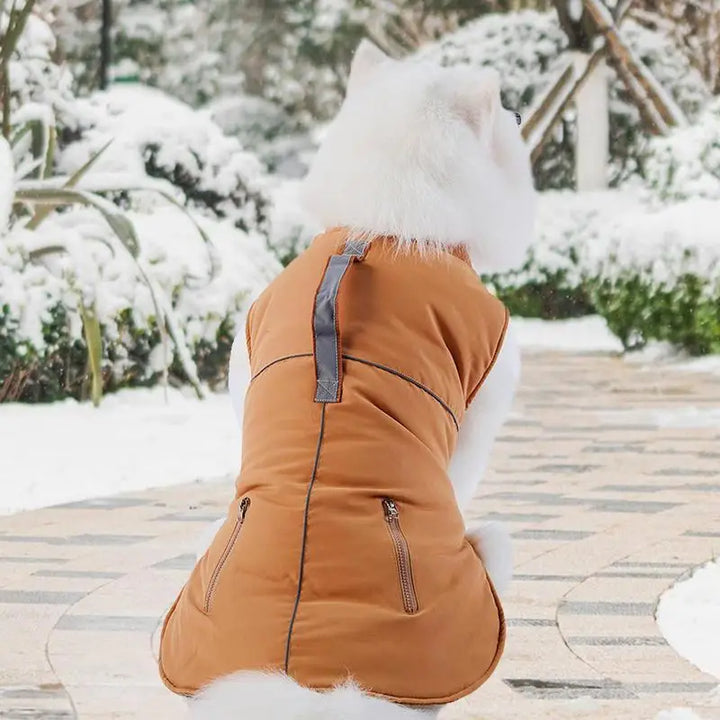 Manteau col roulé 4 pattes pour petit chien élégant