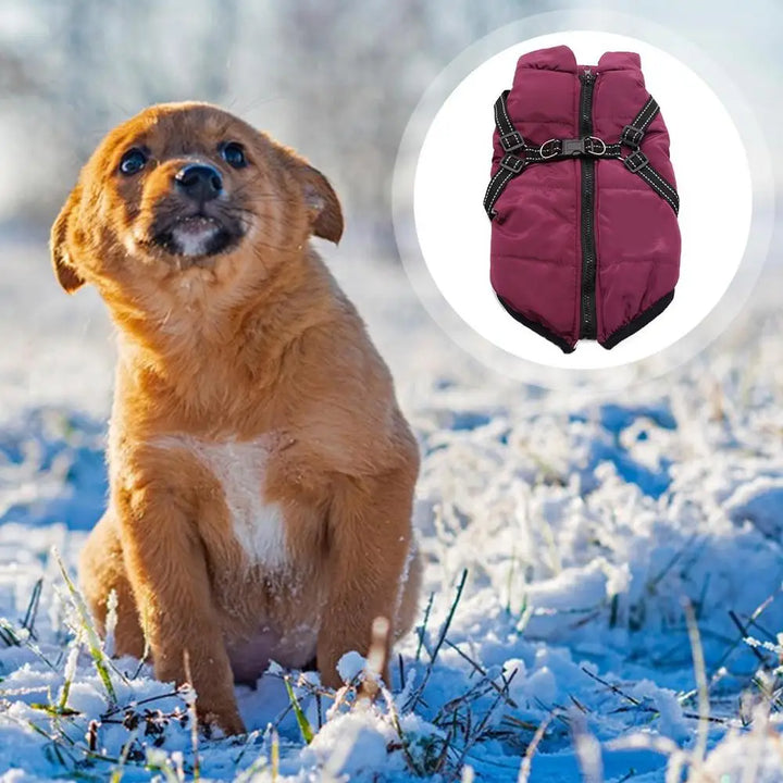 Manteau chaud avec harnais intégré – Hiver serein pour votre chien